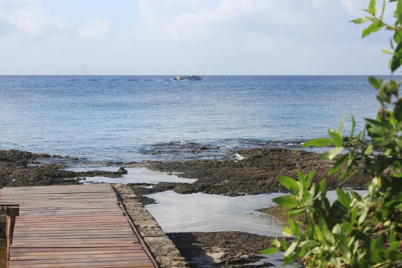 Estudio En Cozumel, Condominio Frente Al Mar A2 Apartment Cozumel